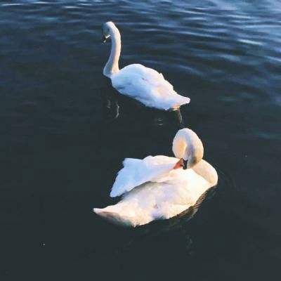 kaiyun官网下载截图